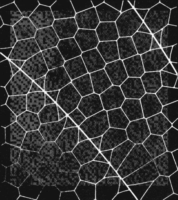 The Glasswing Principle: Why Your Customer Feedback Tools Have the Same Blind Spot